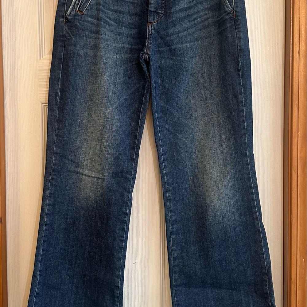 Pilcro by Anthropologie Denim Style Chinos Size 27